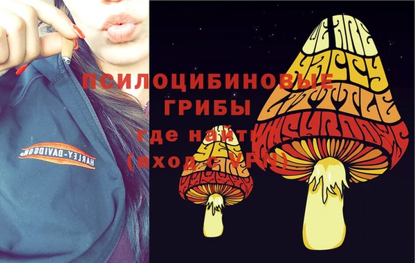 МДПВ Красноперекопск