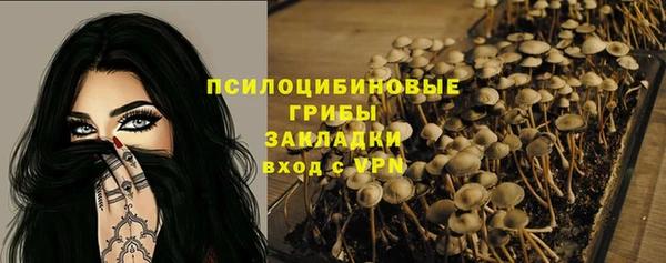 дурь Краснотурьинск