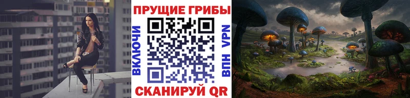 Купить где  Шарыпово  Псилоцибиновые грибы прущие грибы 