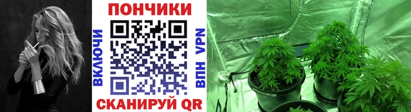 Купить  Шарыпово  Марихуана ГИДРОПОН 
